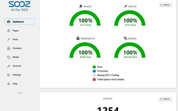 Webmarketing Tourisme SEO Success Story