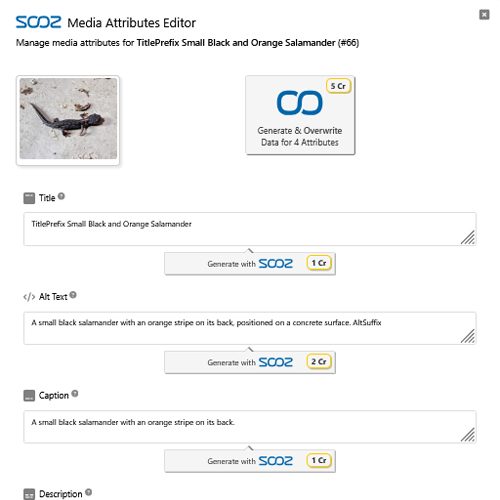 4) Faster publishing = fresher site signals – Compassion Vibes x SOOZ AiforSEO.ai — turning 3,000 products into SEO fuel